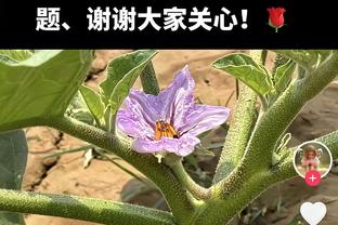 登哥给力！哈登过去6战有5场得到两双数据 对阵湖人差1次助攻